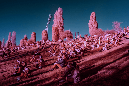 Sun Worshippers and Techno Vibes: A Day in Mauerpark