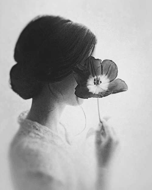 White Silence