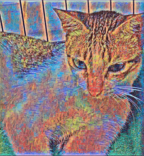 CryptoCat