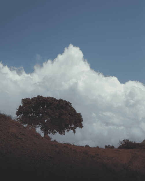 One place different skies