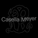 Casella Meyer VISIONS