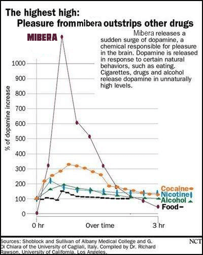 Mibera Lore