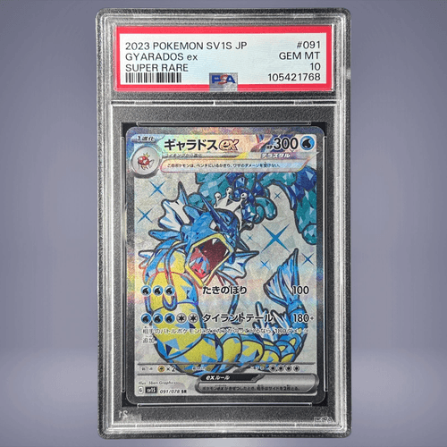 2023 Pokémon ギャラドスex #091 PSA 10 - メルカリNFT 2023 Pokémon ギャラドスex #091 PSA 10 - メルカリNFT