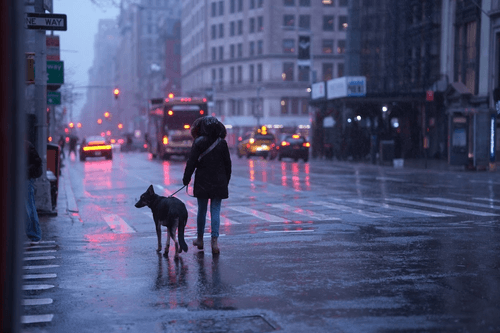 Raw rain