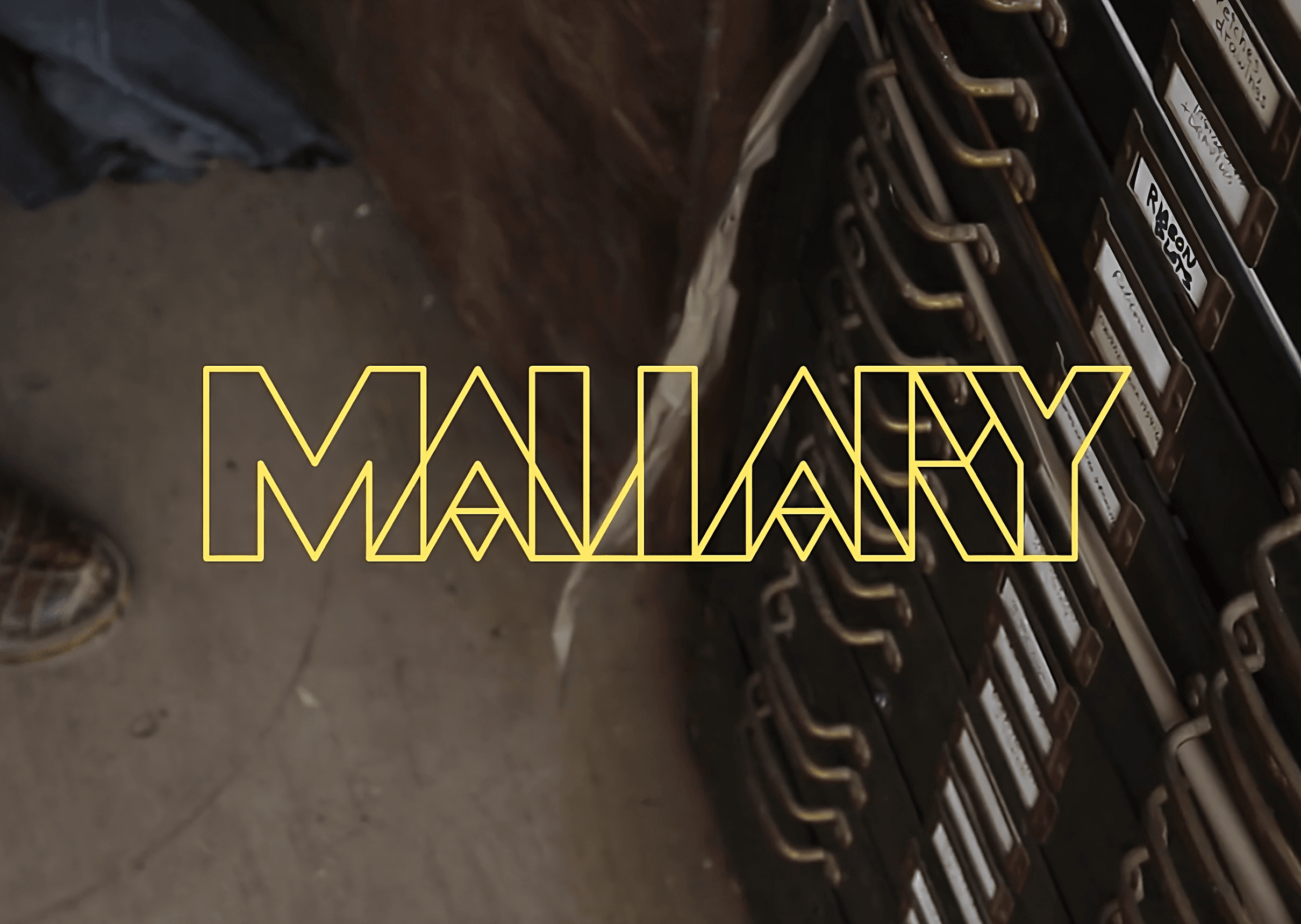 Who Is Robert Mallary?