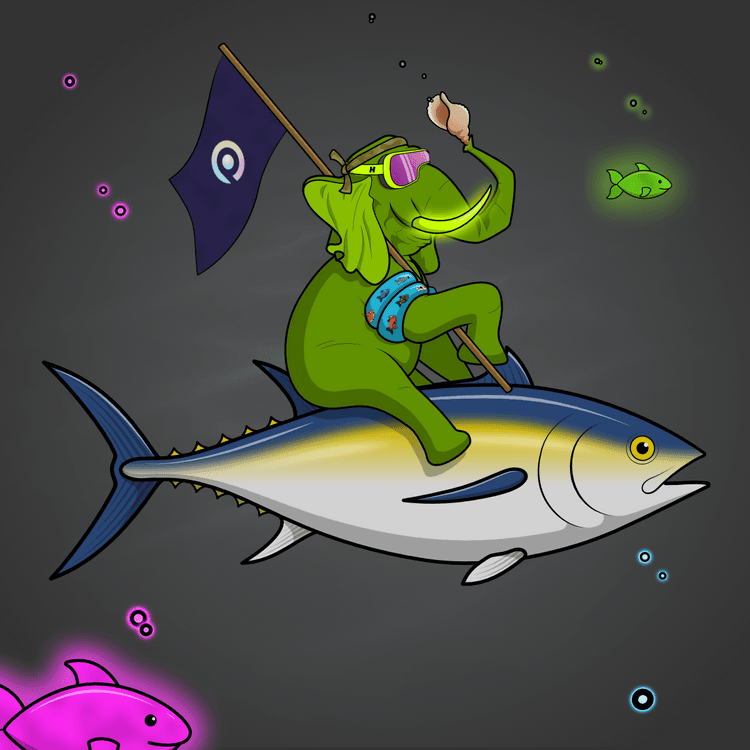 Ocean Racer #13536