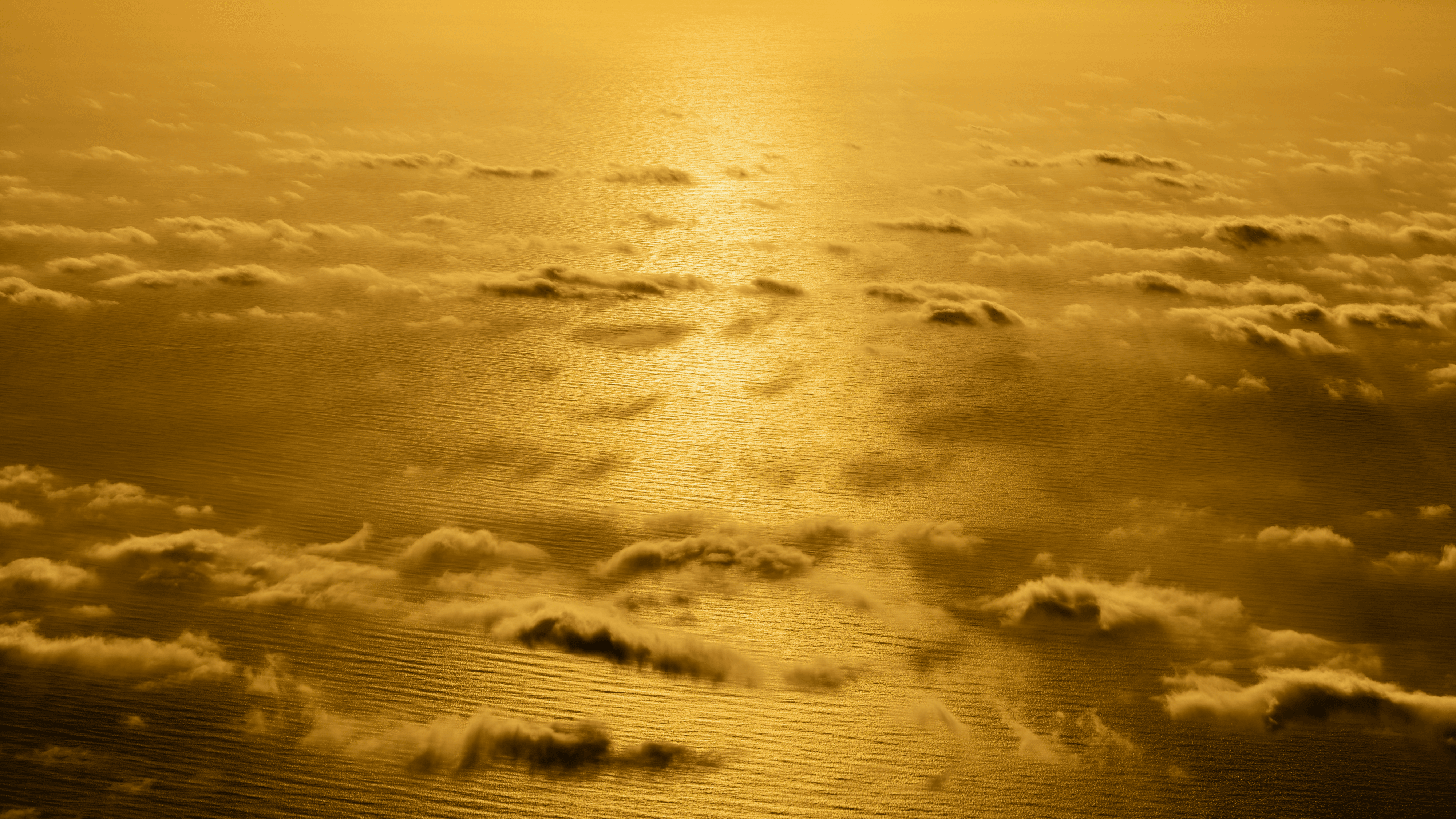 Sea of Gold: Nature's Priceless Elixir