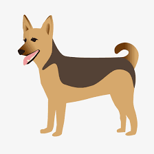 Tu Doge