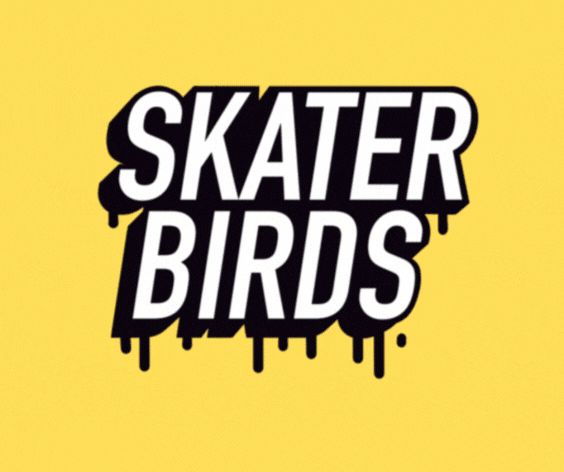SkaterBirds: Skatepark collection image