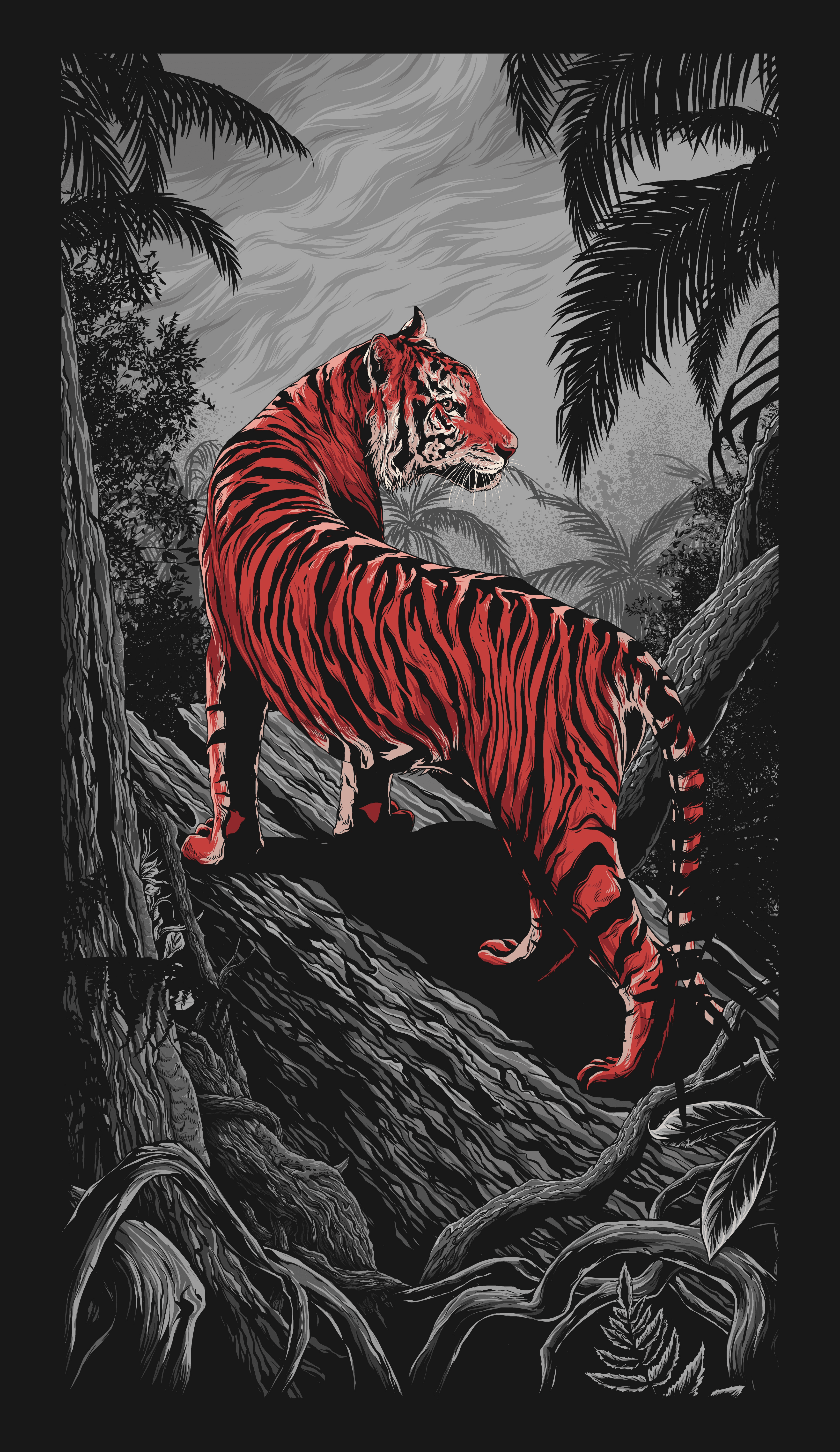 Tigres Akhir #1