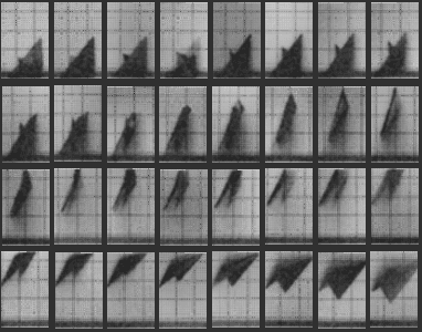 CHRONOPHOTOGRAPH 8