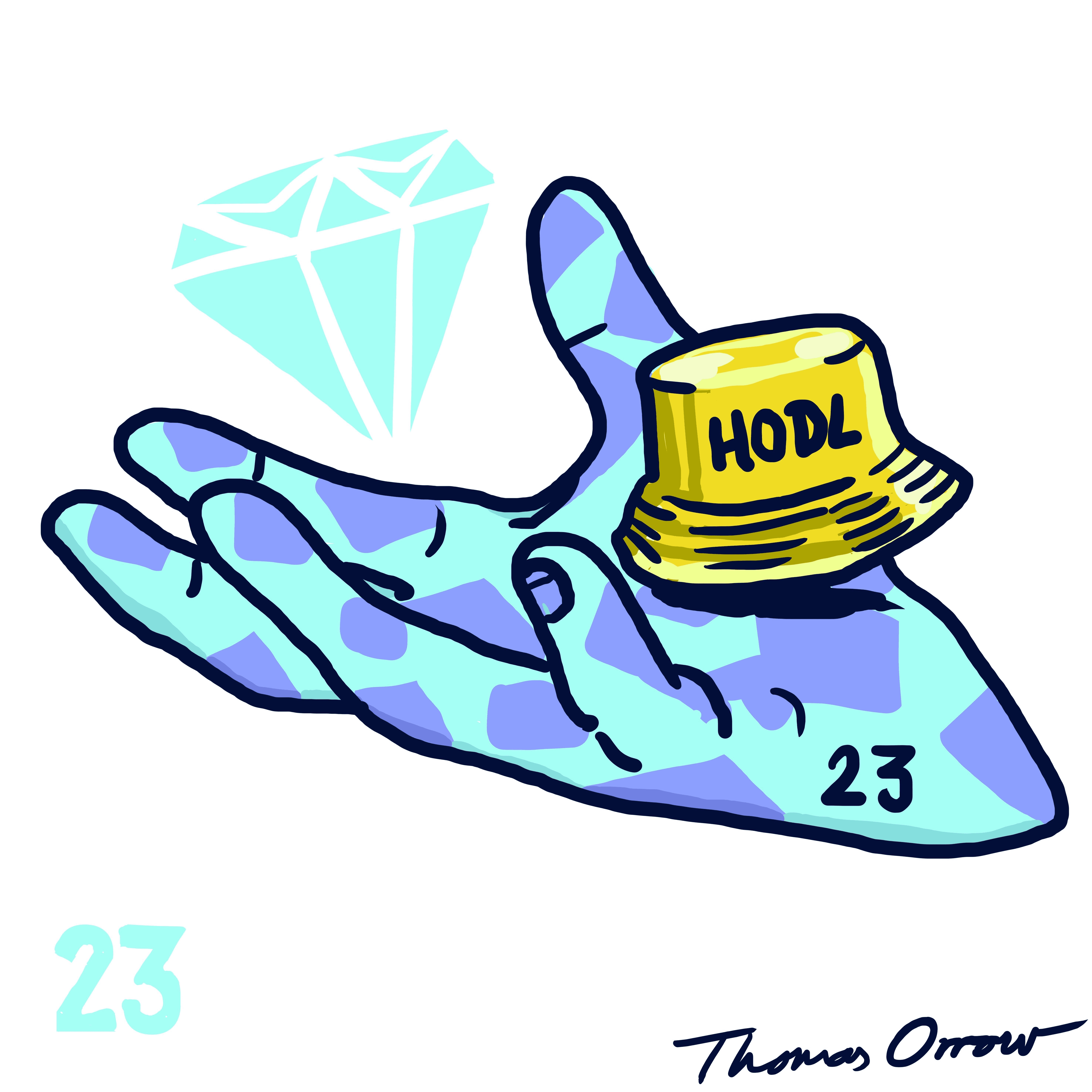 DIAMOND HAND HODLER – by u/Puzzeheaded_Popup (BONUS)