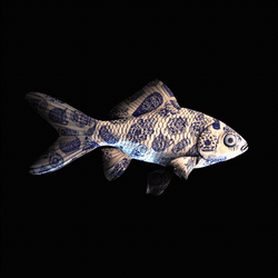CryptoFish #3481