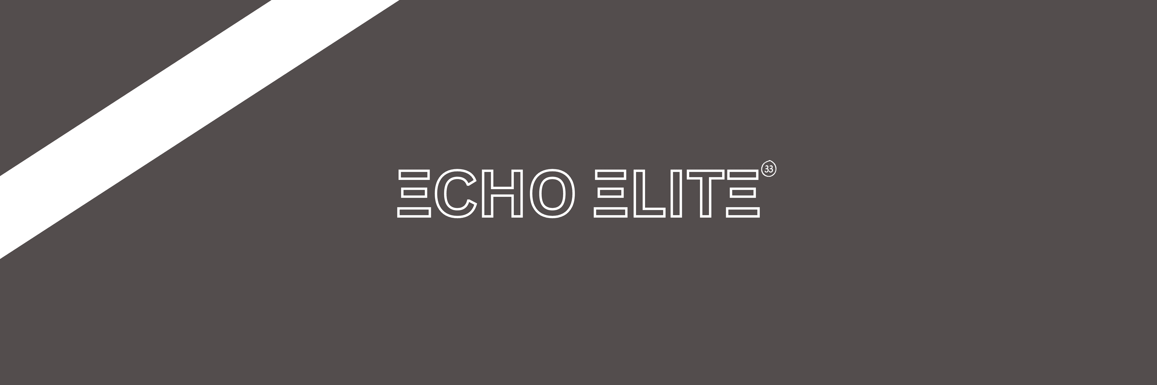 EchoTheLion banner