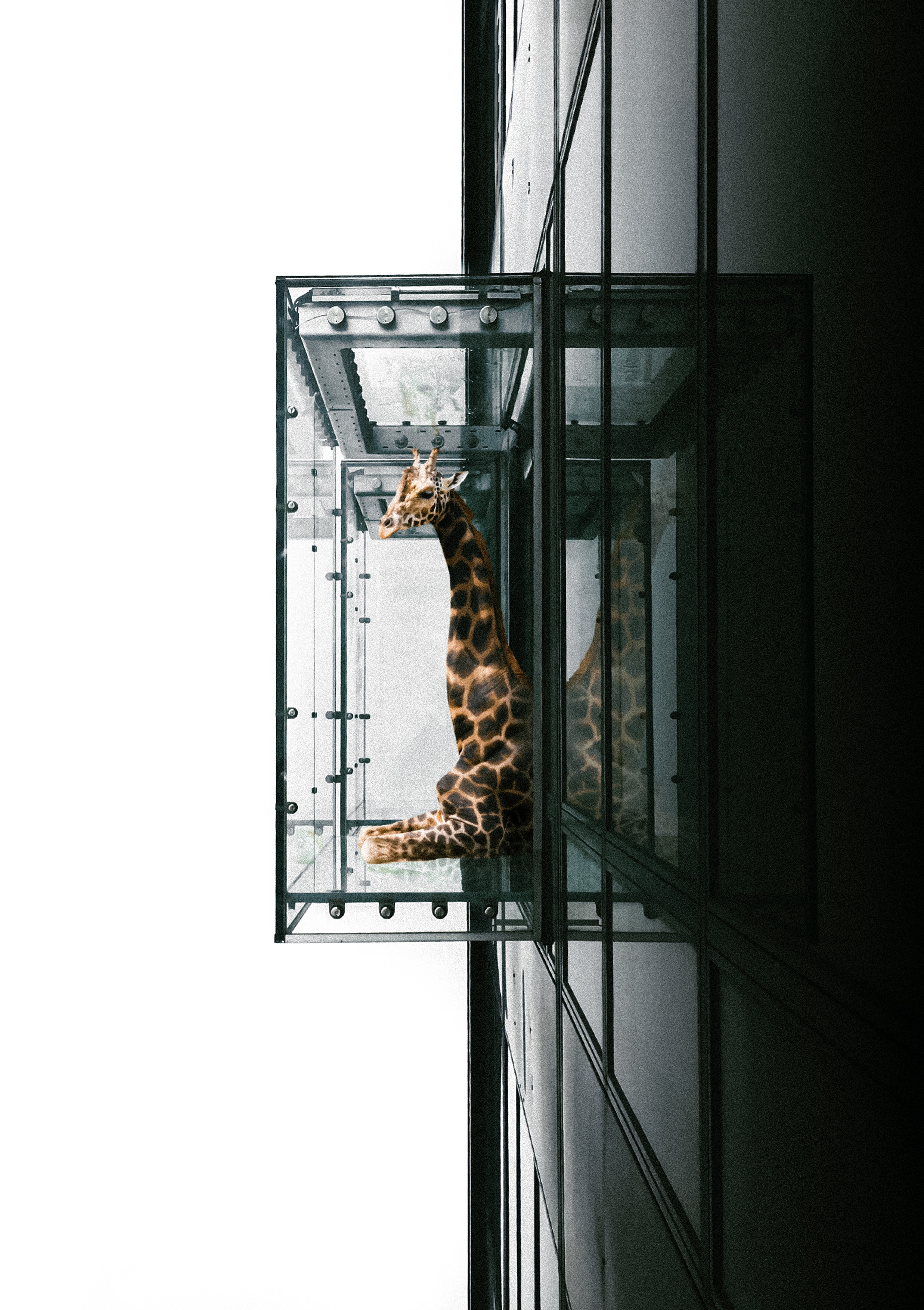 Such Great Heights