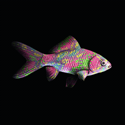 CryptoFish #3288