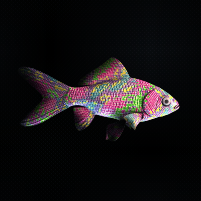 CryptoFish #3288