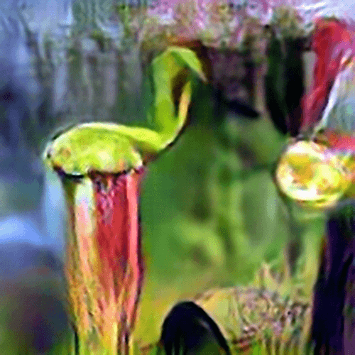 Evolved Hallucinations 9