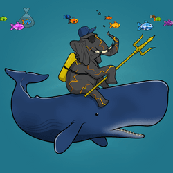 Ocean Racer #12486