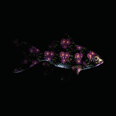 CryptoFish #3373