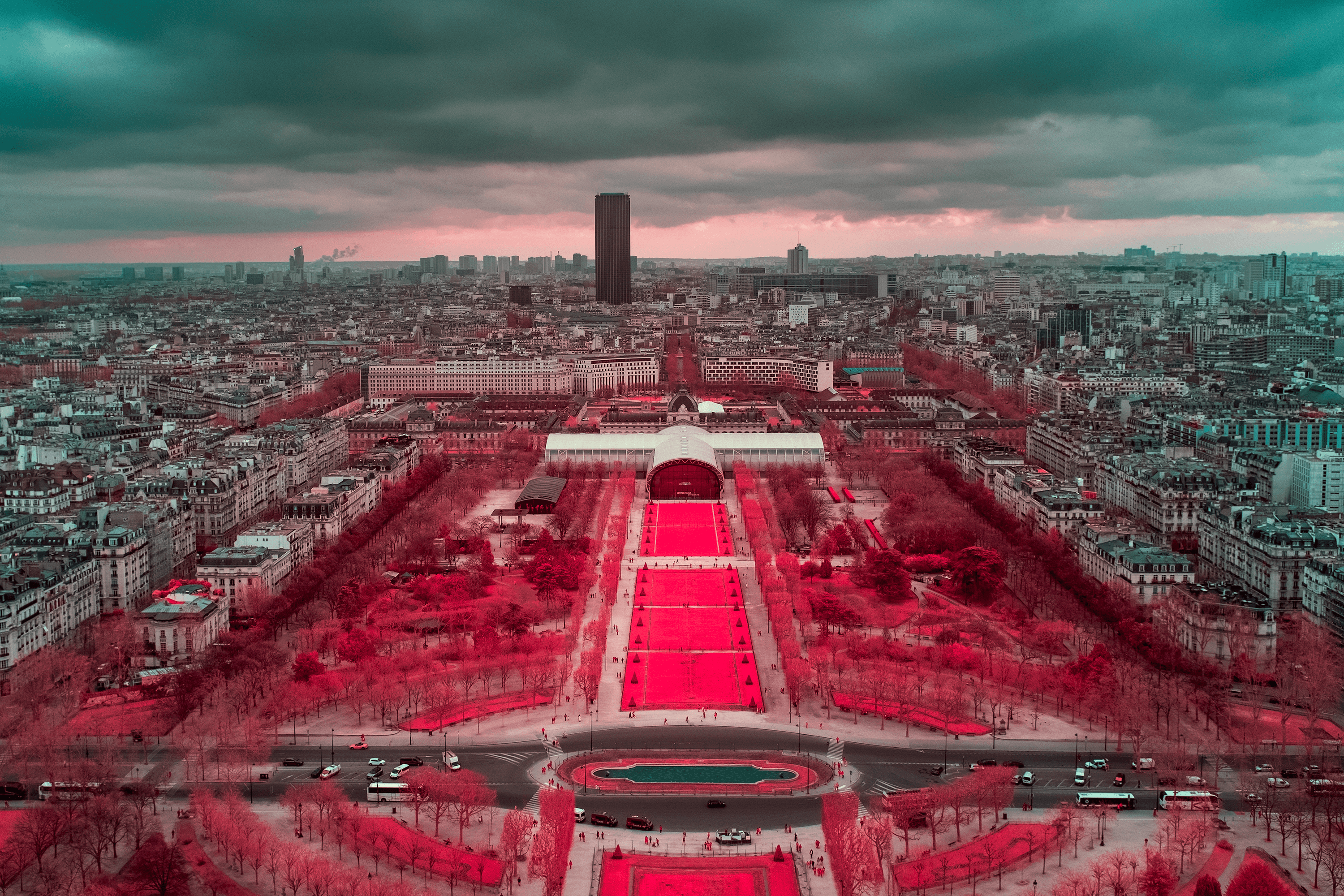 The Red Carpet of Paris