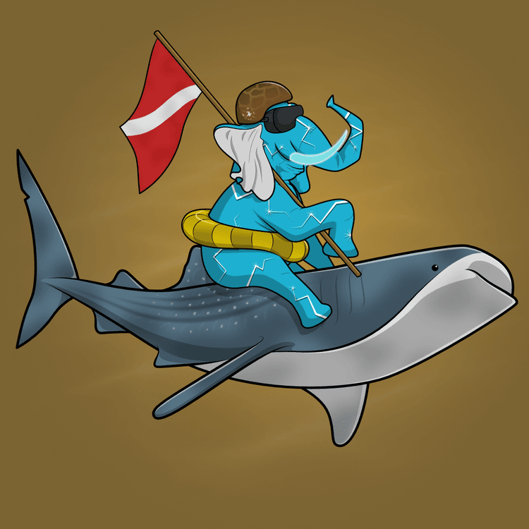 Ocean Racer #7967