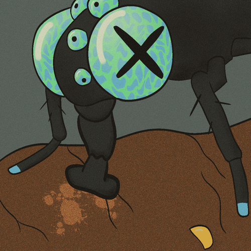 baseline by rilax