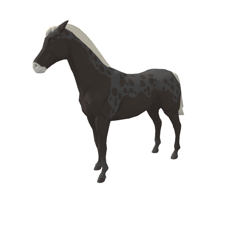 Borda - zkRace Horses | OpenSea