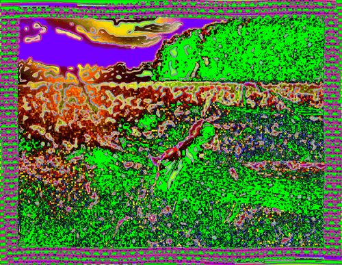 Coordinates 16