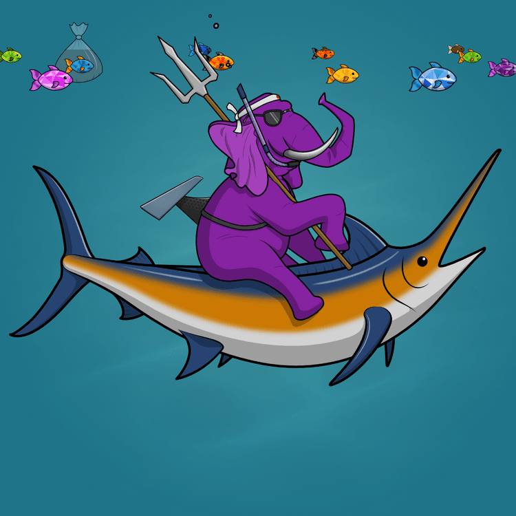 Ocean Racer #16484