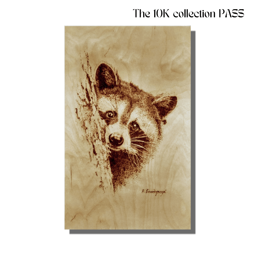 The 10k collection: PASS #840