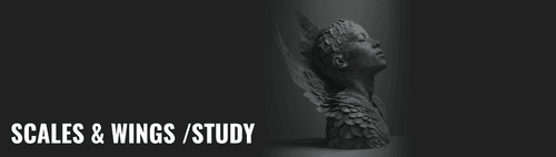 Scales & Wings /Study