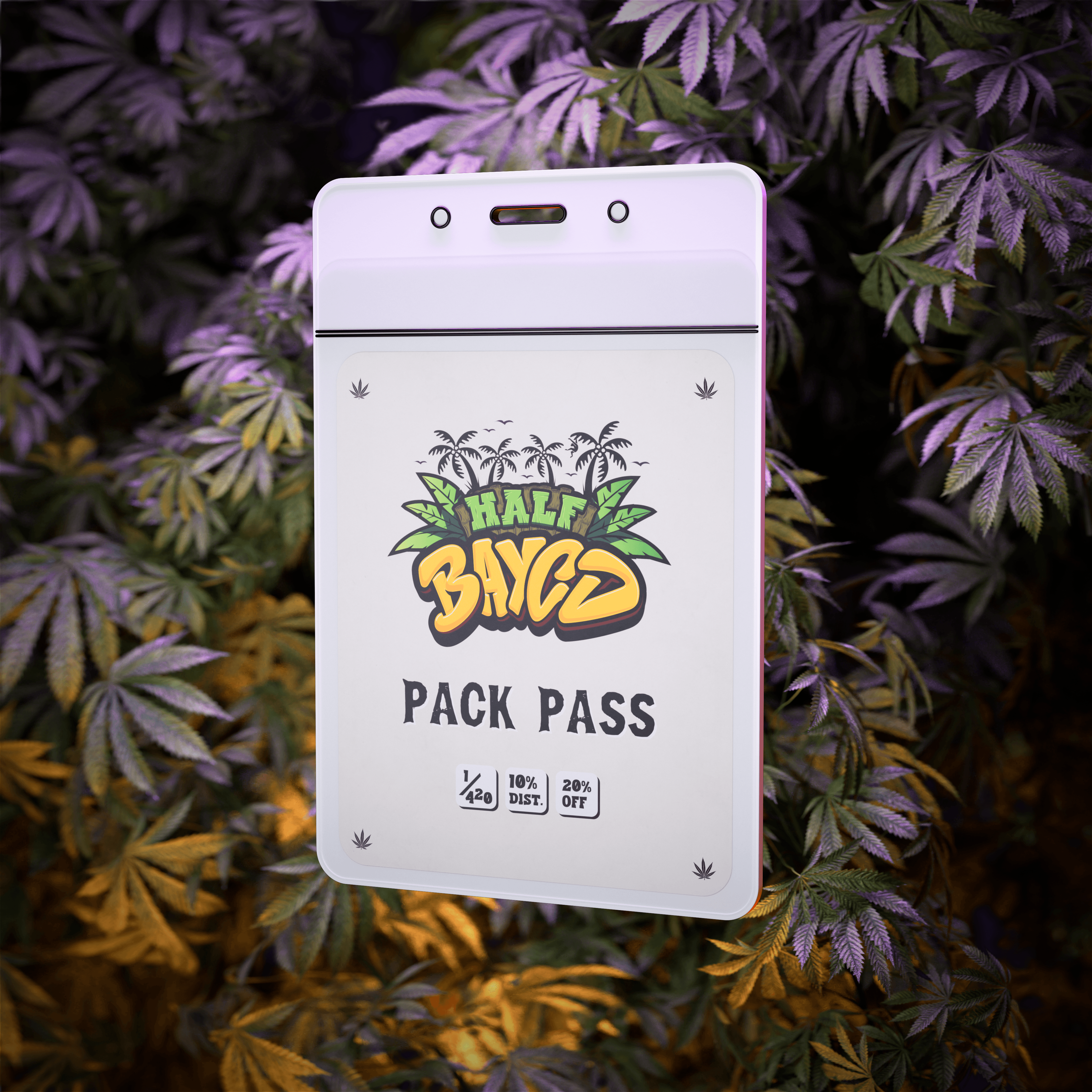 Half BAYCD: Pack Pass