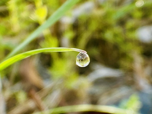 Water droplet