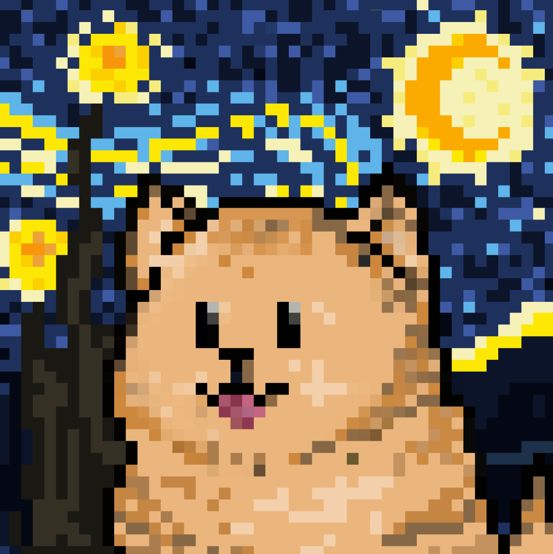 Chow in starry night