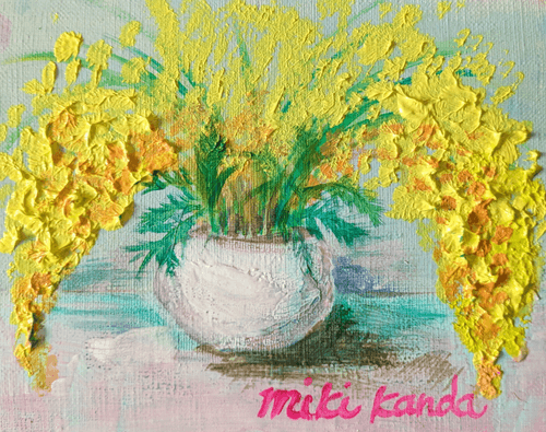flowers Mimosa