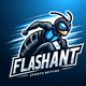 FLASHANT