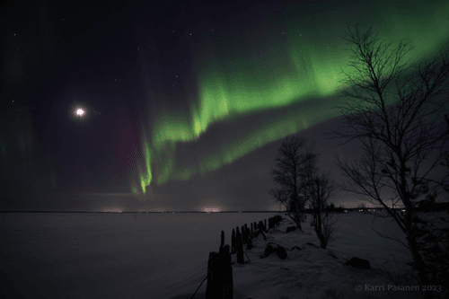 Cosmic Rain