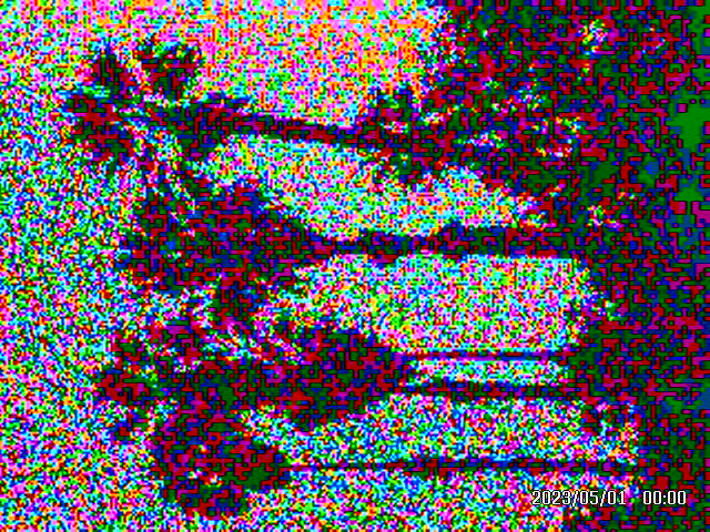 Rodeo posts