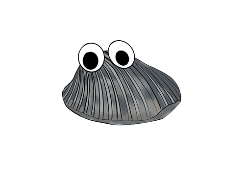Shellbros