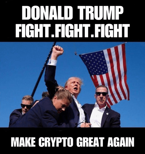 Trump Fight