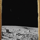 Birbs on the Moon Souvenir