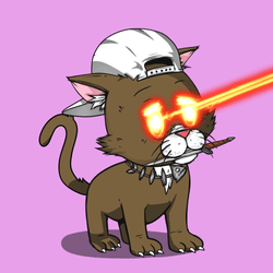 Kitten #329