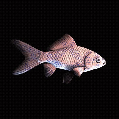 CryptoFish #5086