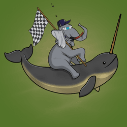 Ocean Racer #106