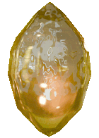 Honey Crystal