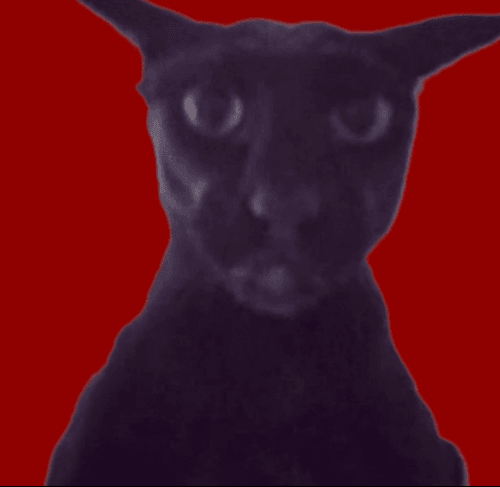 Peenarverse