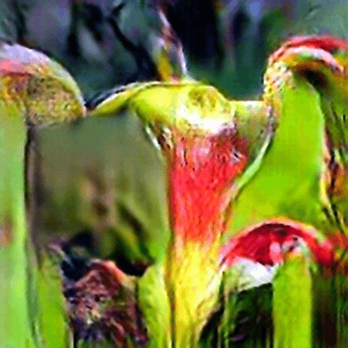 Evolved Hallucinations 8