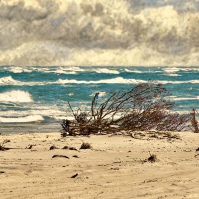 Artsy Landscapes