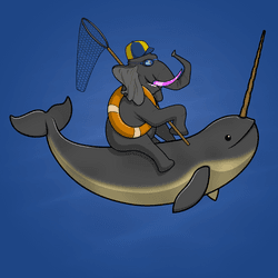 Ocean Racer #5265
